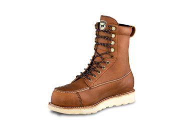 irish setter wingshooter st 8 inch