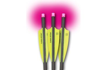 Image of Lumenok Crossbow Bolt Pink Flat 20 in, Black, Pack of 3, BECF3P