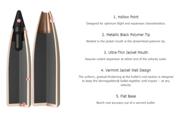 Image of Nosler Varmageddon .223 Remington 53 Grain Flat Base Tipped Brass Cased Centerfire Rifle Ammo, 20 Rounds, 65139