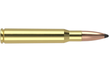 Image of Nosler .30-06 Springfield, Partition , 180 grain, Brass Cased, 20 Rounds, 46142