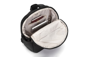 pacsafe theft