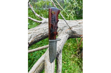 Image of Titan International Knives TD-710 Hunting Fixed Blade Knives, 5in, High Carbon Damascus Steel, Straight Edge, Buck Engraved Walnut Scales Handle, TD-710