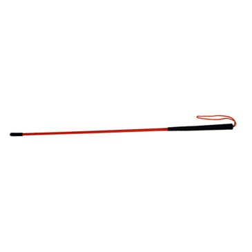 dog heeling stick