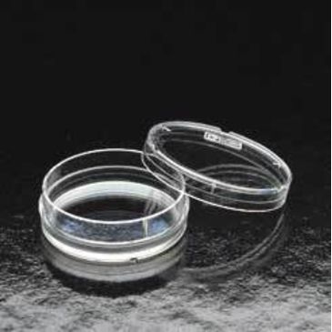 Featured image of post Falcon Petri Dish Falcon disposable petri dishes sterile corning