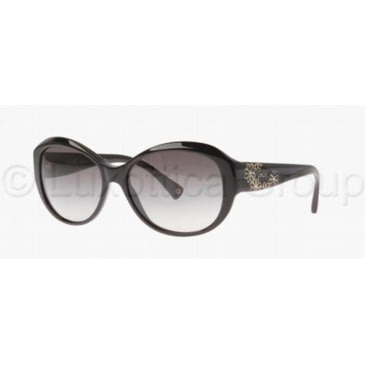 coach payton sunglasses