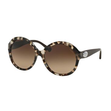 coach leopard sunglasses