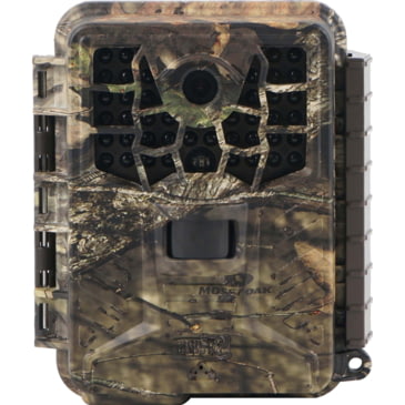 trail camera with audio