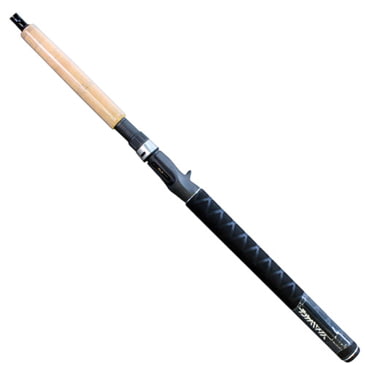 daiwa dxs casting rod