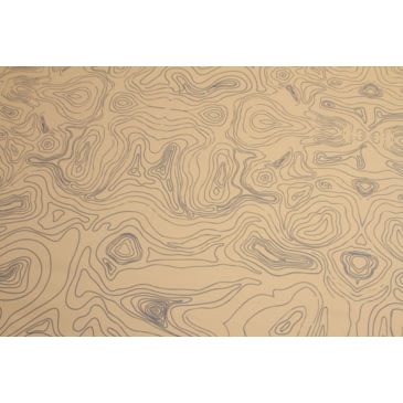 coleman big and tall cot