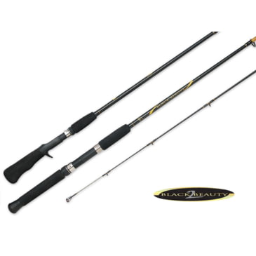 black beauty surf rod