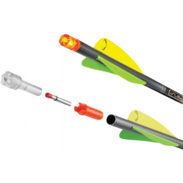 Ten Point Arrows With Lighted Nocks 