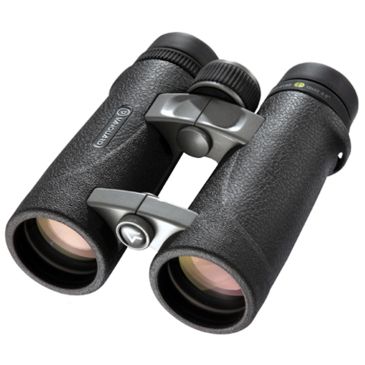 vanguard endeavor ed 10x42