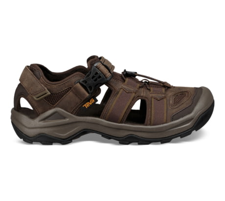 teva omnium 2