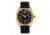 Shield Dreyer Diver Strap Watch - Mens, Gold/Black, One Size, SLDSH107-5