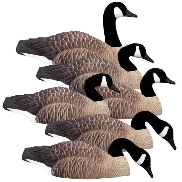 Higdon Outdoors Higdon Outdoors Magnum Half Shell Canada 6pk 895BCBB1 HG - $159.99 at Optics Planet