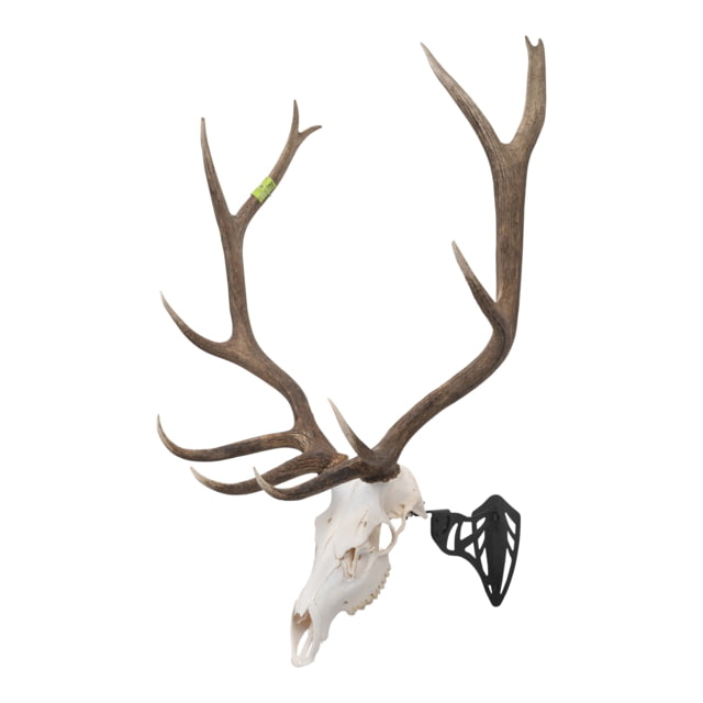 Allen EZ Mount Magnum Skull Hanger Black