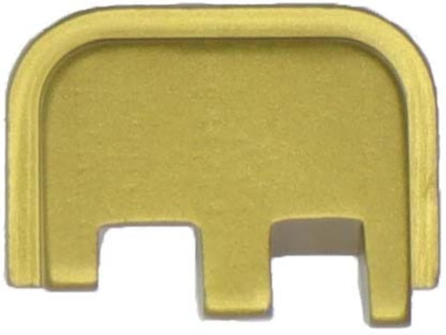 Anarchy Outdoors CZ-P10c 9mm Slide Plate Gold - Anarchy Outdoors