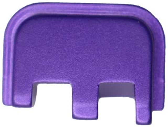 Anarchy Outdoors CZ-P10c 9mm Slide Plate Purple - Anarchy Outdoors