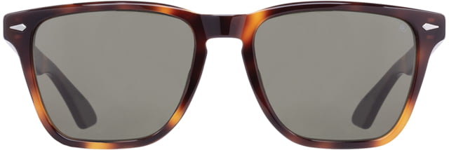 AO Hudson Sunglasses Tortoise Frame Calobar Green AOLite Nylon Lens - 57-19-145 - Ao