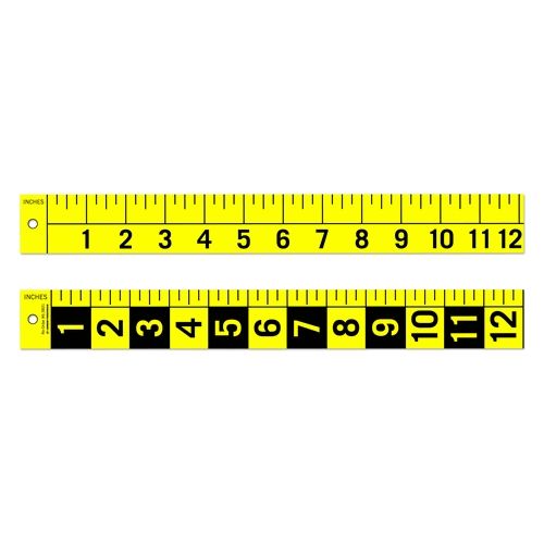 Forensics Source 12inch Scale H&v 5
