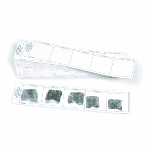 Armor Forensics Post-mortem Card Strips Non-adhesive - 1005004 - Forensics Source