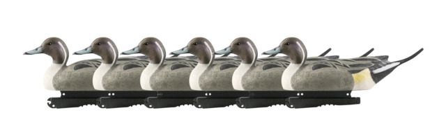 Avery Outdoors Life-Size Pintails Drake 1/2 dozen Realistic Postures - Avery Outdoors