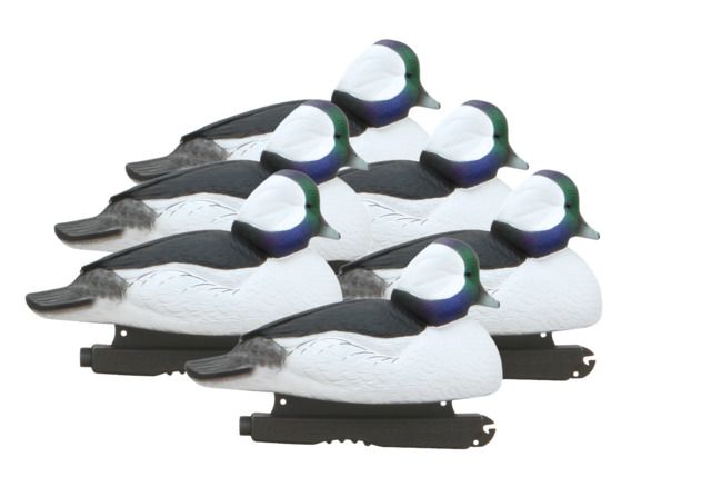 Avery Outdoors Over-Size Buffleheads 1/2 dozen Realistic Postures - Avery Outdoors