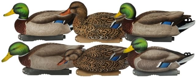 Avery Outdoors PG XD Series Mallards-Harvester Pack 1/2 dozen - Avery Outdoors