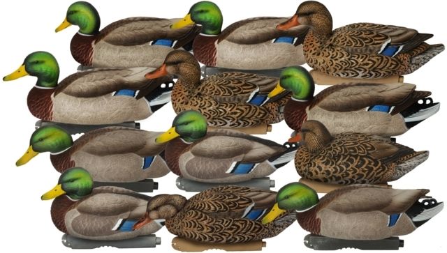 Avery Outdoors PG XD Series Mallards-Harvester Pack dozen - Avery Outdoors