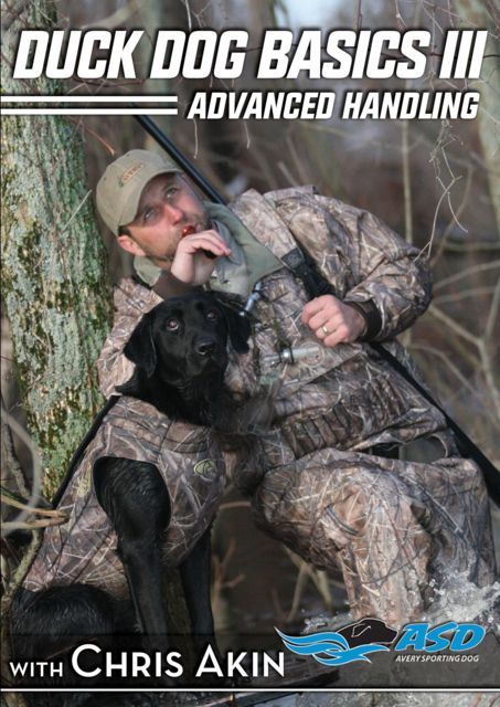 Avery Sporting Dog Duck Dog Basics 3 Instructional Video / DVD 89993 by USA Avery Sporting Dog Instructional Videos & DVDs
