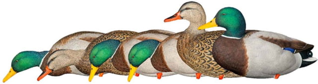 Avian X Fusion Pack APX Mallard Decoy Brown Pack of 6 - Avian X