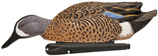 Avian X Topflight Blue-Winged Teal Decoy