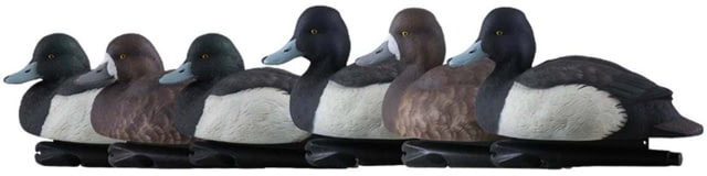 Avian X Topflight Bluebills Decoy