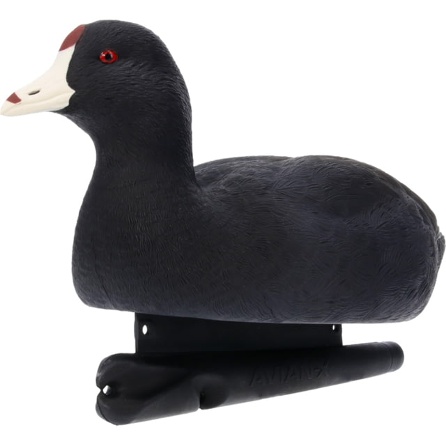 Avian X Topflight Floating Decoy Black