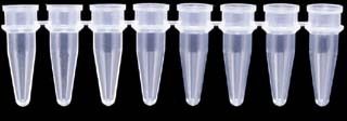 Axygen PCR Tube Strips and Cap Strips Axygen Scientific Strips Of Eight Tubes Pack