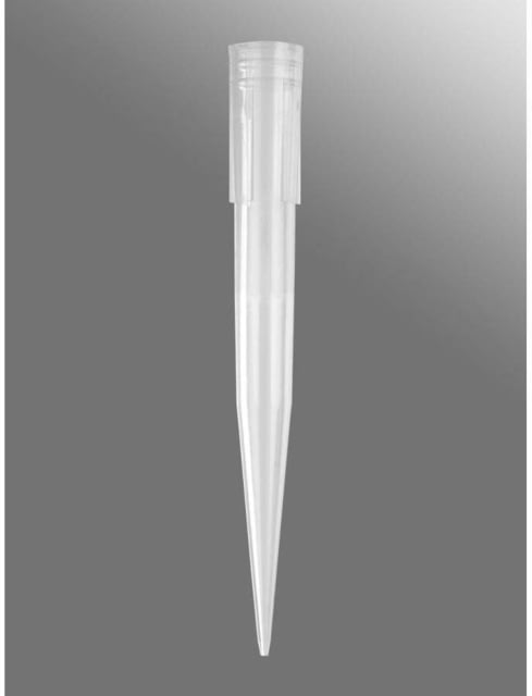 Axygen Tip Clr Sterile Pack of