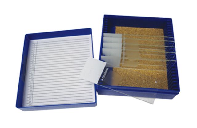 Azer Scientific Control SLIDE Periodic Acid