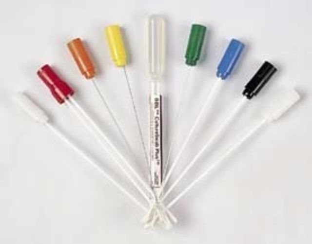 BD BBL Microbiological Specimen Collection and Transport Systems BD Diagnostics  Bd Cultureswab Collection And Transport Systems Sterile Single