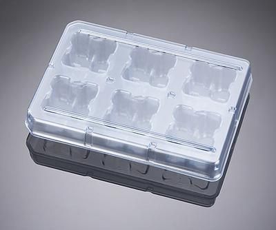 Corning Biocoat 6DEEPWELL Multipl 4CS