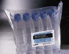 Corning BioCoat Cellware Collagen Type I Vented-Cap Culture Flasks T-75 75 cm2