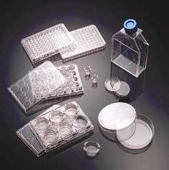 Corning BioCoat Cellware Collagen Type IV Multiwell Plates 96-Well