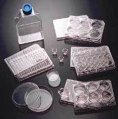 Corning BioCoat Cellware Laminin Multiwell Plates 24-Well