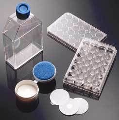 Corning BioCoat Cellware Poly-Lysine