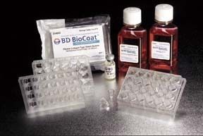 Corning BioCoat HTS Caco-2 Assay Systems Hts Caco-2 Assay Systems Five Plate Kit