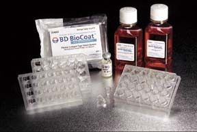Corning BioCoat HTS Caco-2 Assay Systems Replacement Parts Culture Insert One Plate Kit