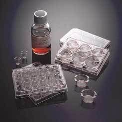 Corning BioCoat Matrigel Matrix Cellware Multiwell Plates 24-Well
