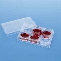 Corning Falcon Cell Culture Companion Plates for Inserts Sterile