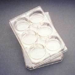 Corning Falcon Multiwell Flat-Bottom Plates with Lids Sterile