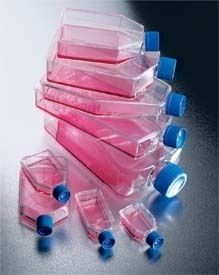 Corning Falcon Petri Flasks Polystyrene Sterile
