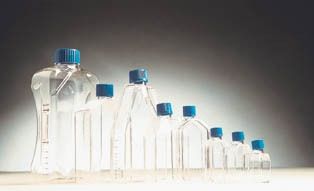 Corning Corning Falcon Tissue Culture Flasks Sterile  Canted-Neck Flasks - $499.99 at Optics Planet